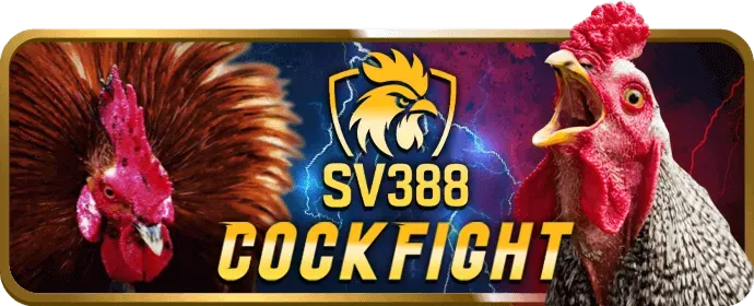 Bảo mật và quyền riêng tư với Cookie trên tải 88vv2